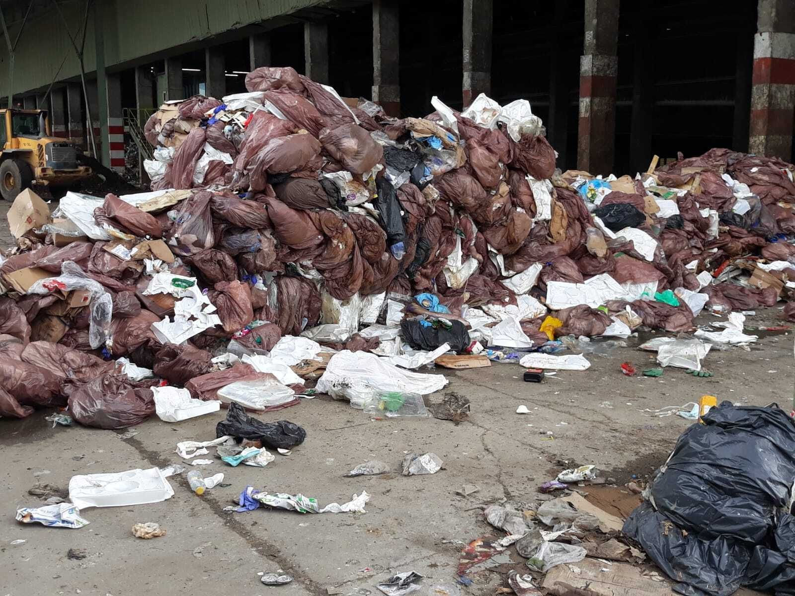 Los residuos hospitalarios que han aparecido en la planta de Las Calandrias.