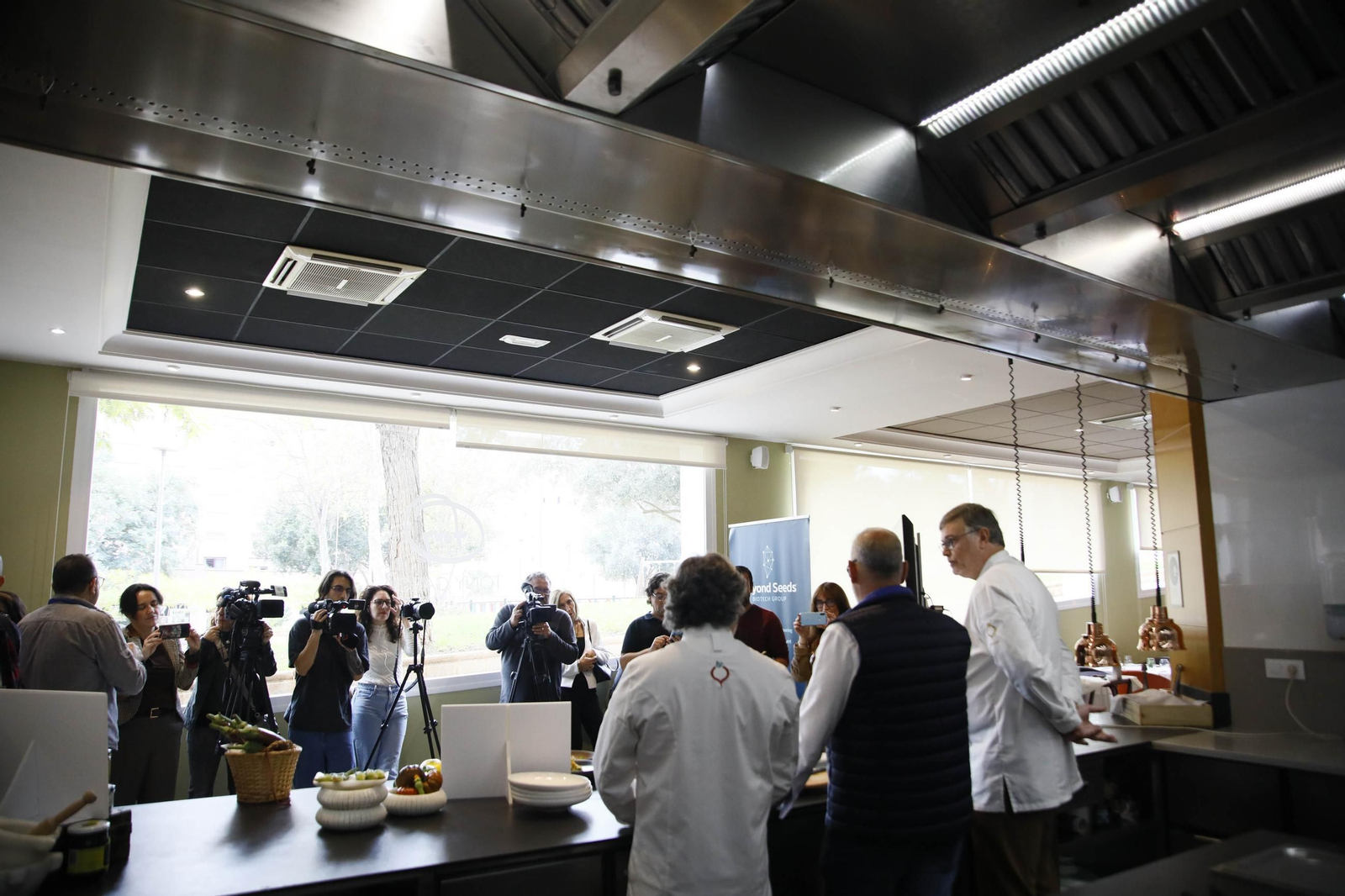 Las imágenes de una nueva variedad de berenjena en Almería