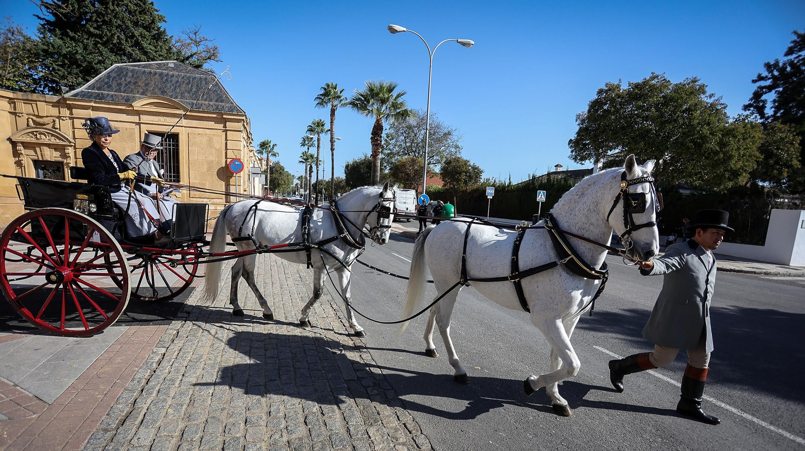 Tradición y elegancia en el Concurso Internacional de Enganches