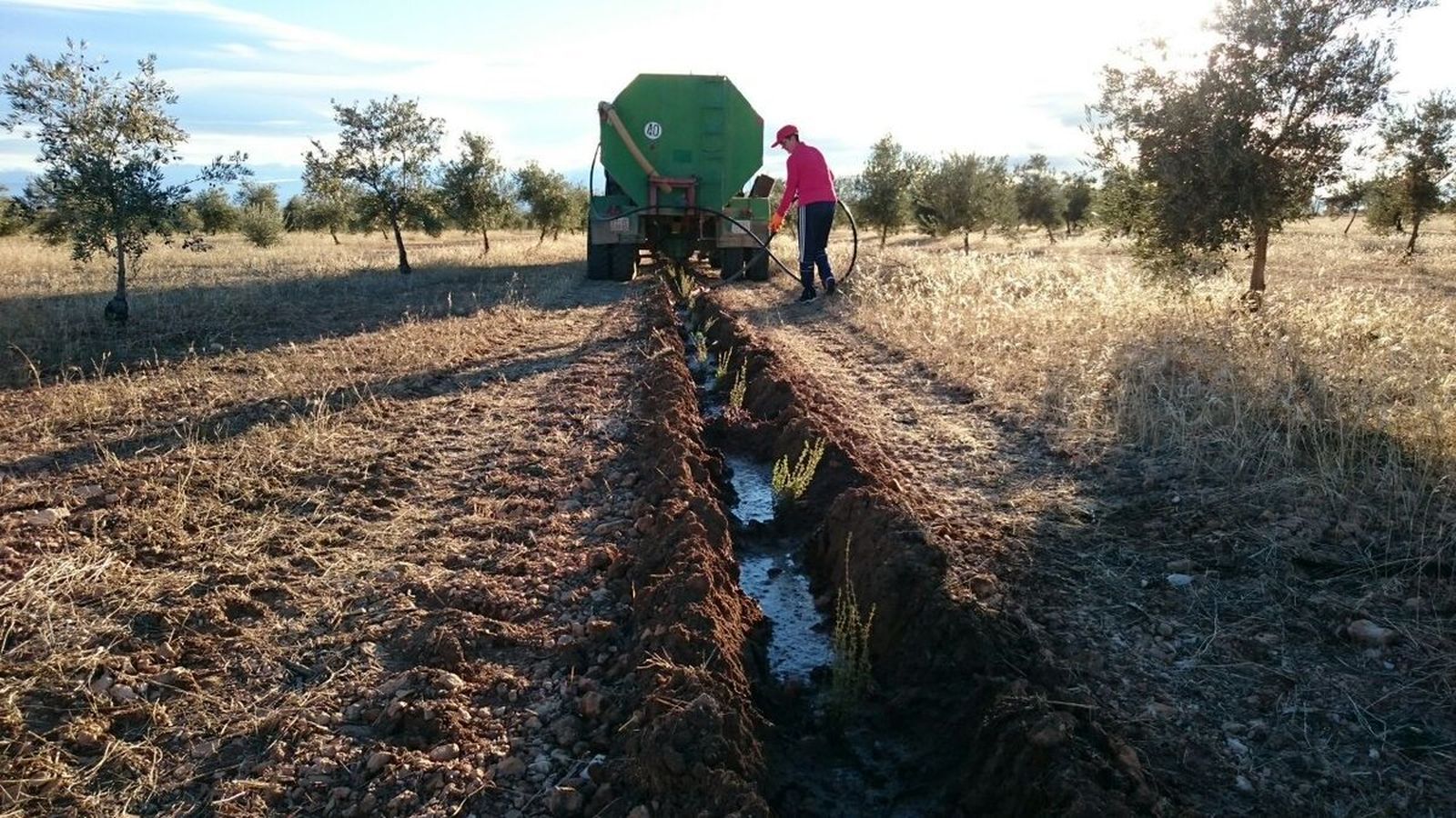 Entre los objetivos de Alvelal está el de aumentar los ingresos de los agricultores que se dedican a la agricultura sostenible.