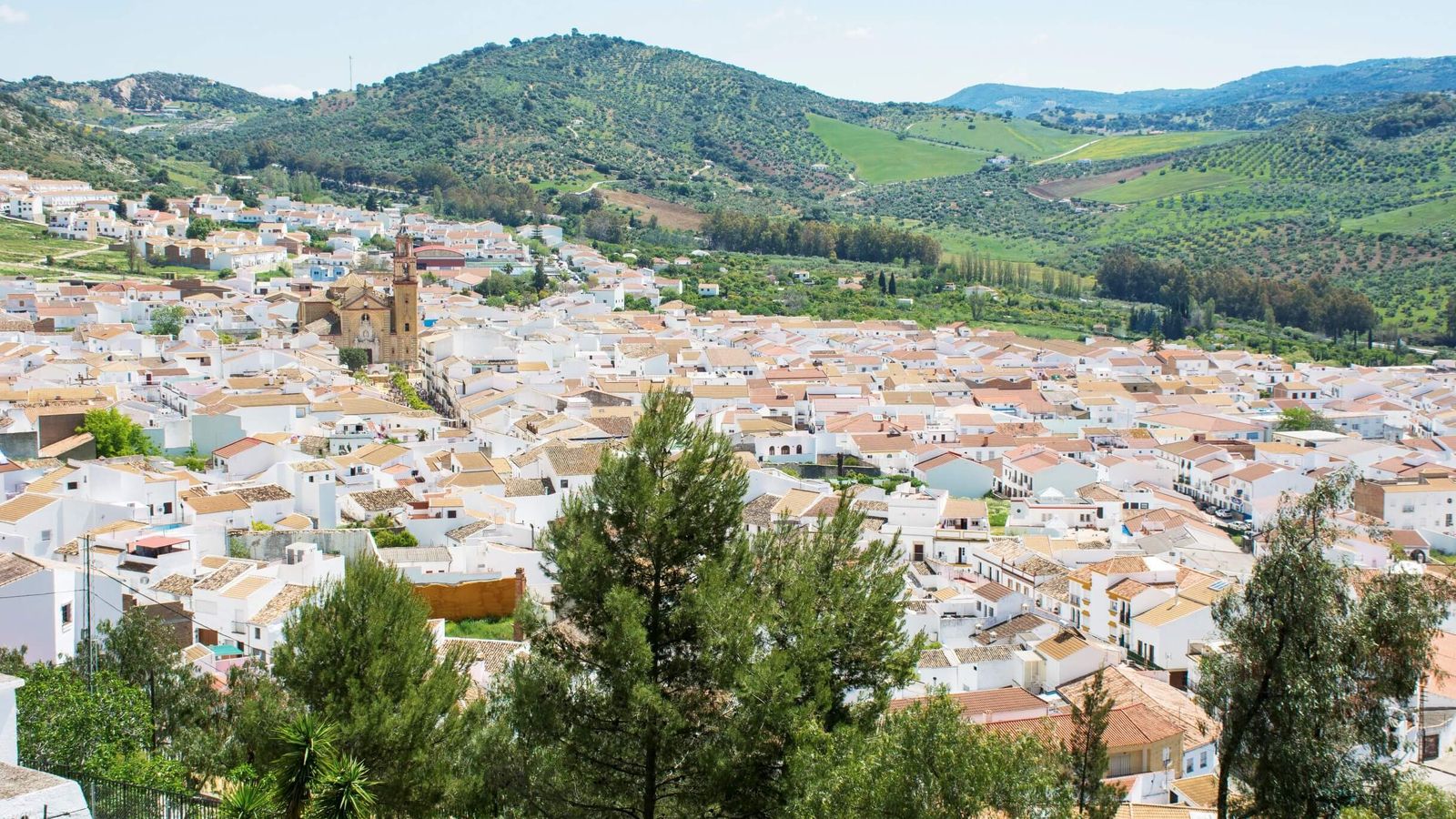 Vista aérea de Algodonales