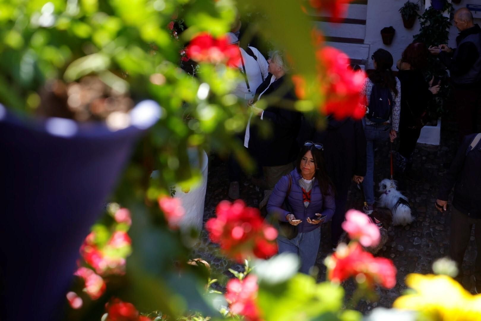 Las mejores imágenes del primer día de Patios en Córdoba