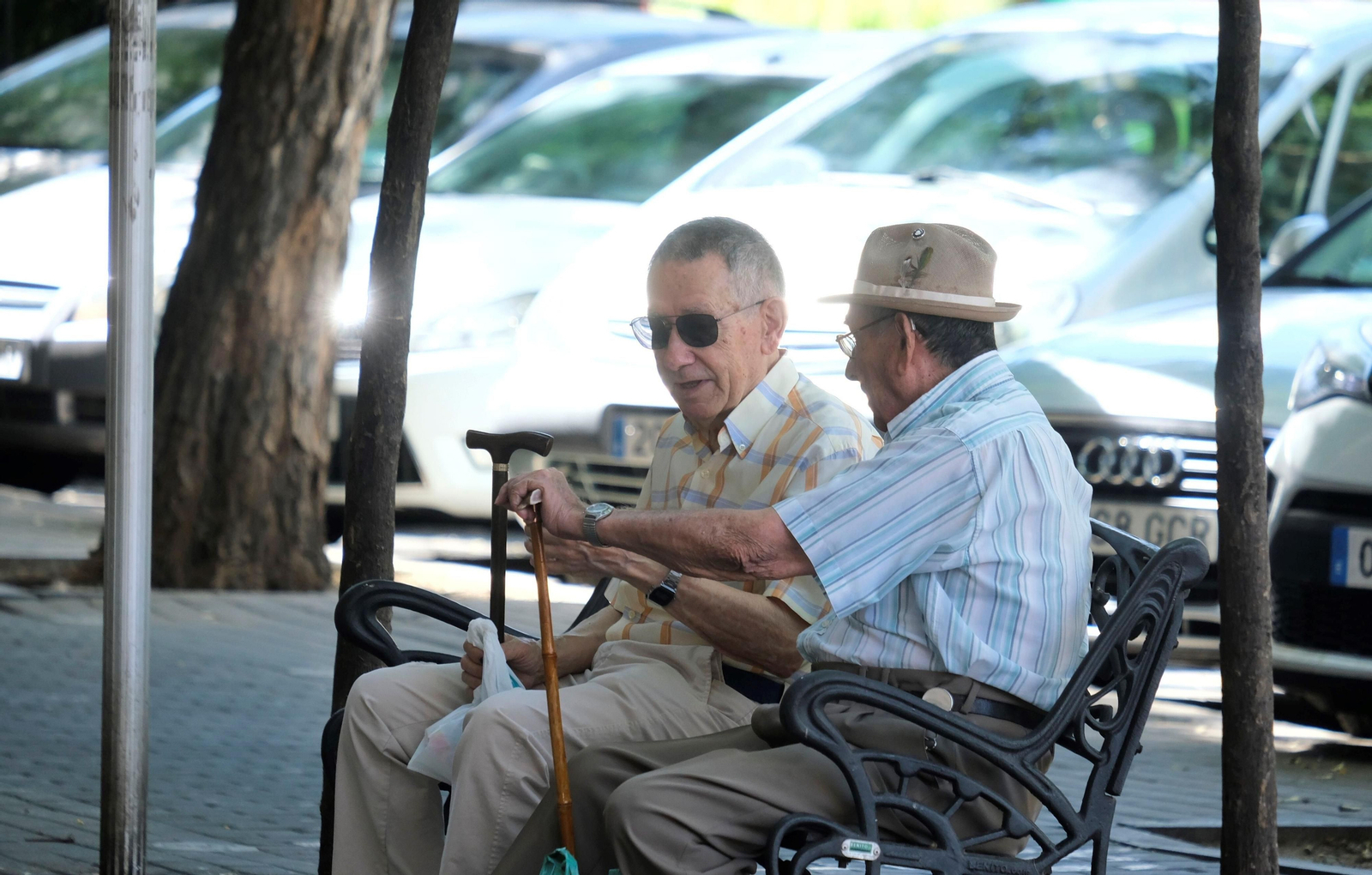 Un día de agosto en el barrio de la Viñuela de Córdoba, en imágenes