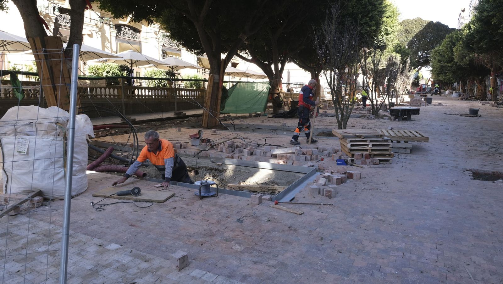 Las imágenes de la modificación de los parterres del Paseo de Almería