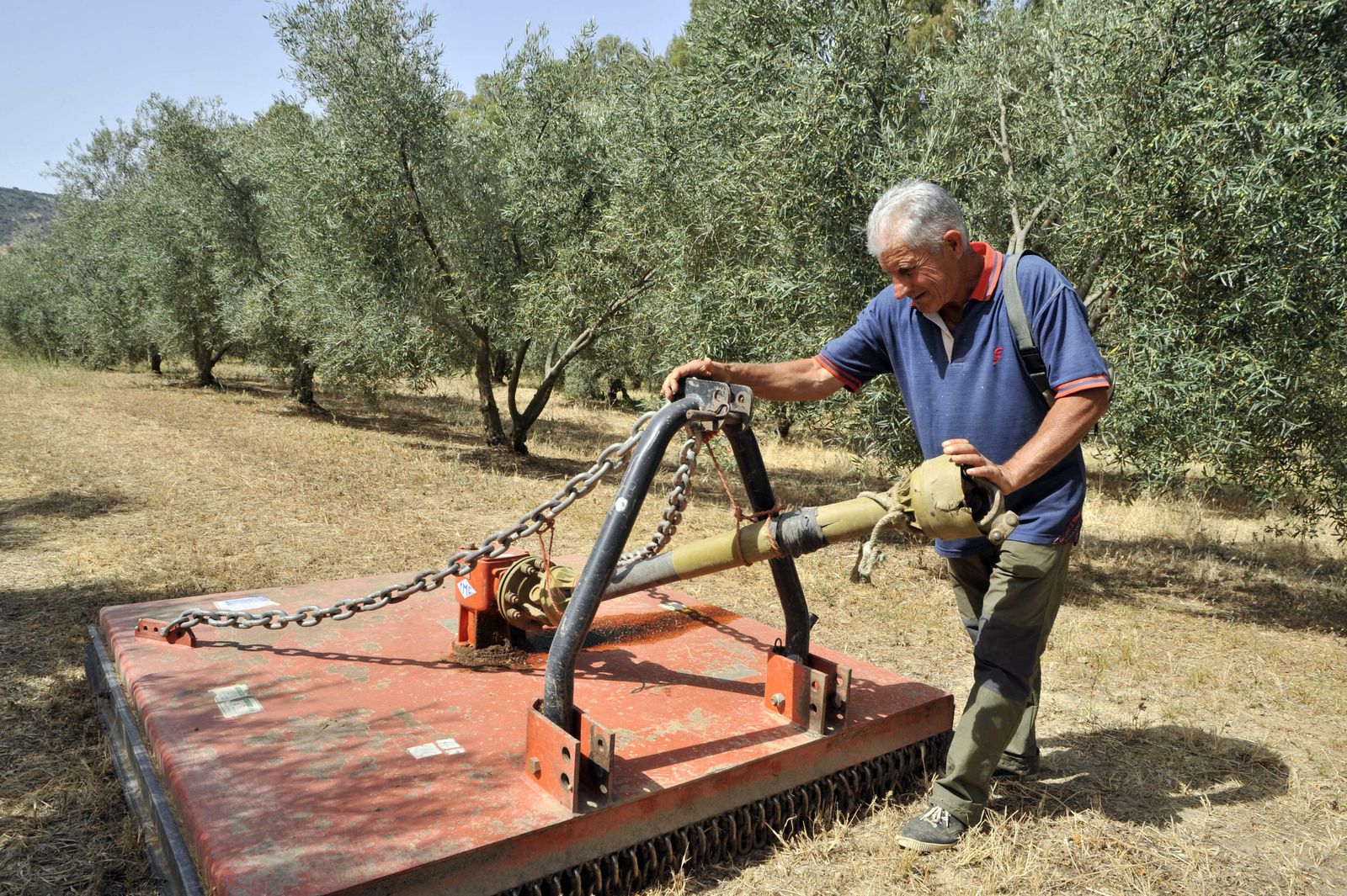 José Rubiales, manejando una máquina en su olivar en Algodonales