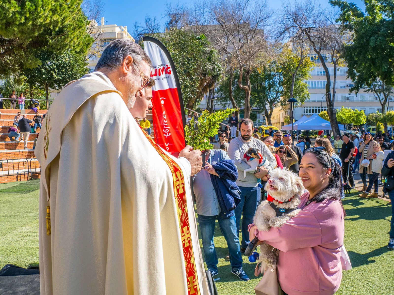 Las imágenes de San Antón 2025 en San Fernando