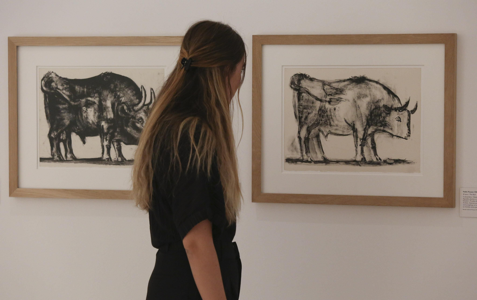 La exposición 'Calder-Picasso' en el Museo Picasso Málaga