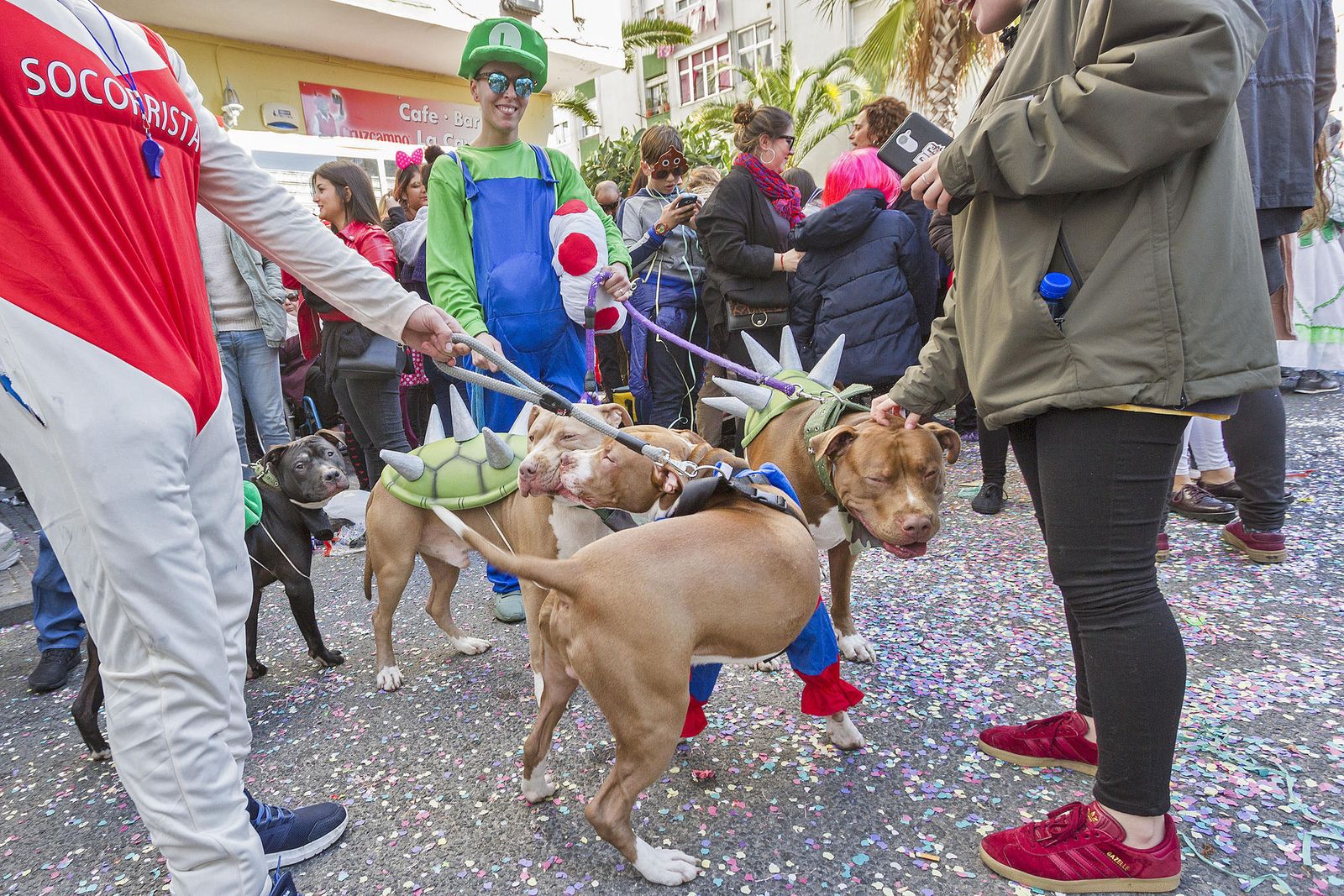Las imágenes del Sábado de Carnaval