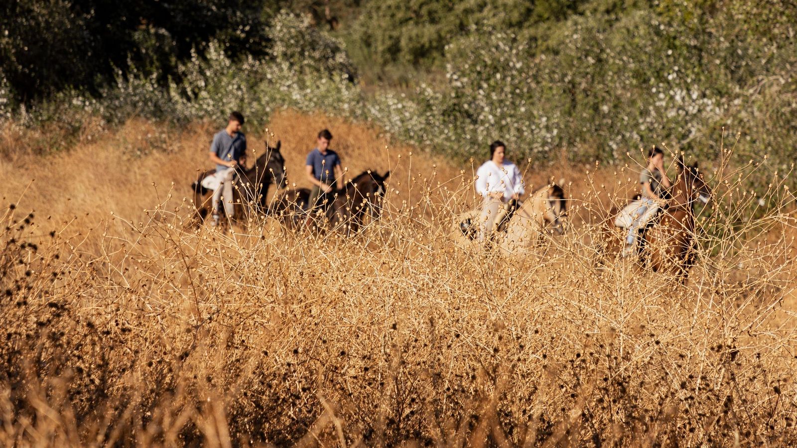 Un grupo hace una de las rutas que ofrece Orillas del Guadalquivir.