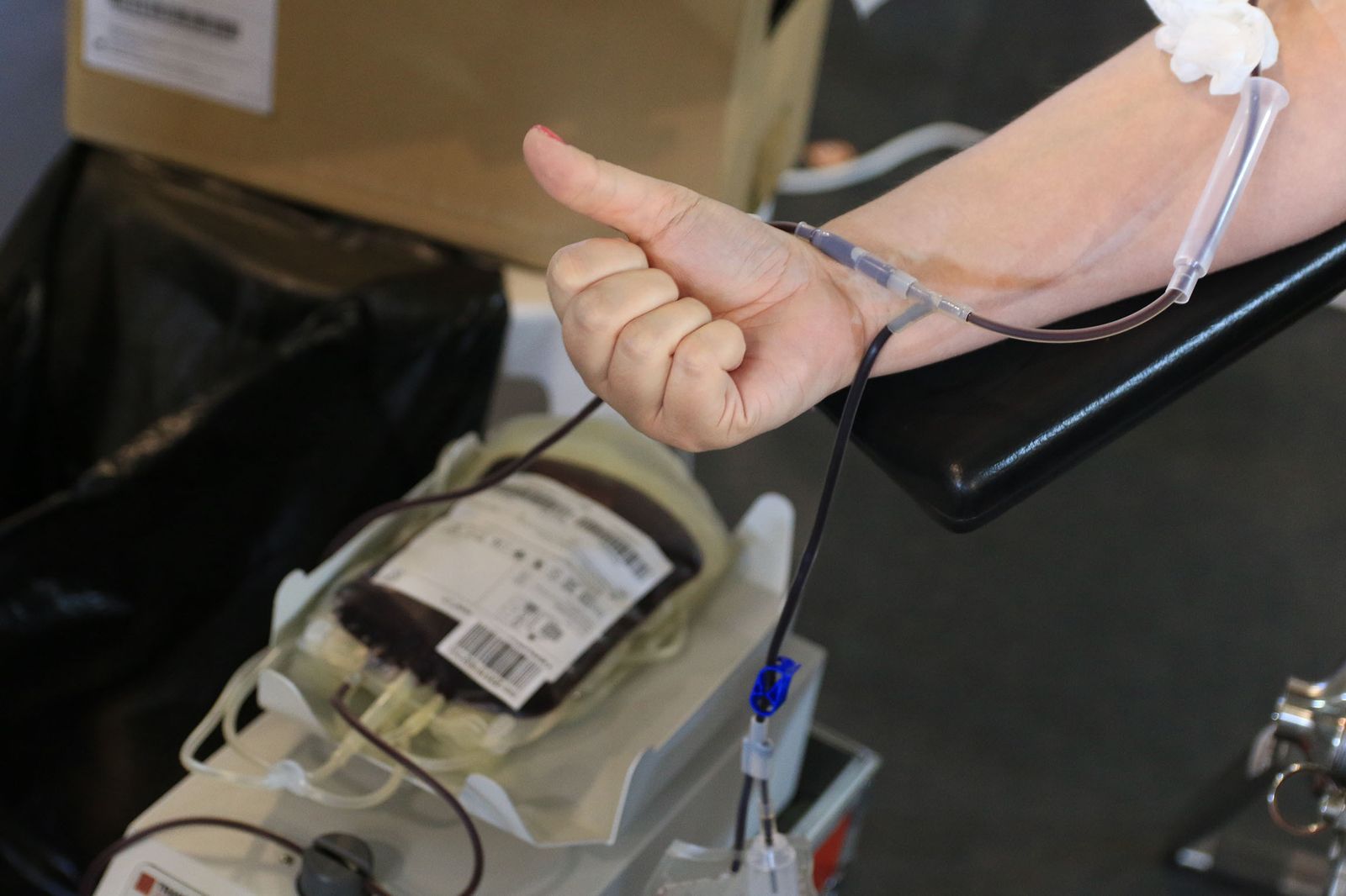 El pabellón Rafael Florido acoge el récord de donantes de sangre