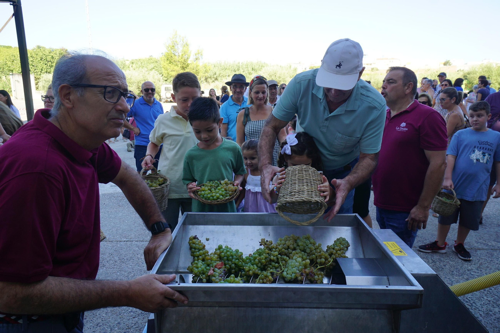 Vendimia infantil de Montilla