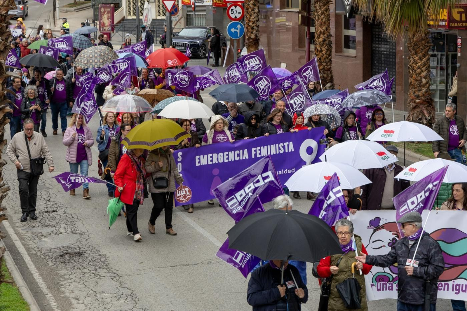 Manifestación del 8M