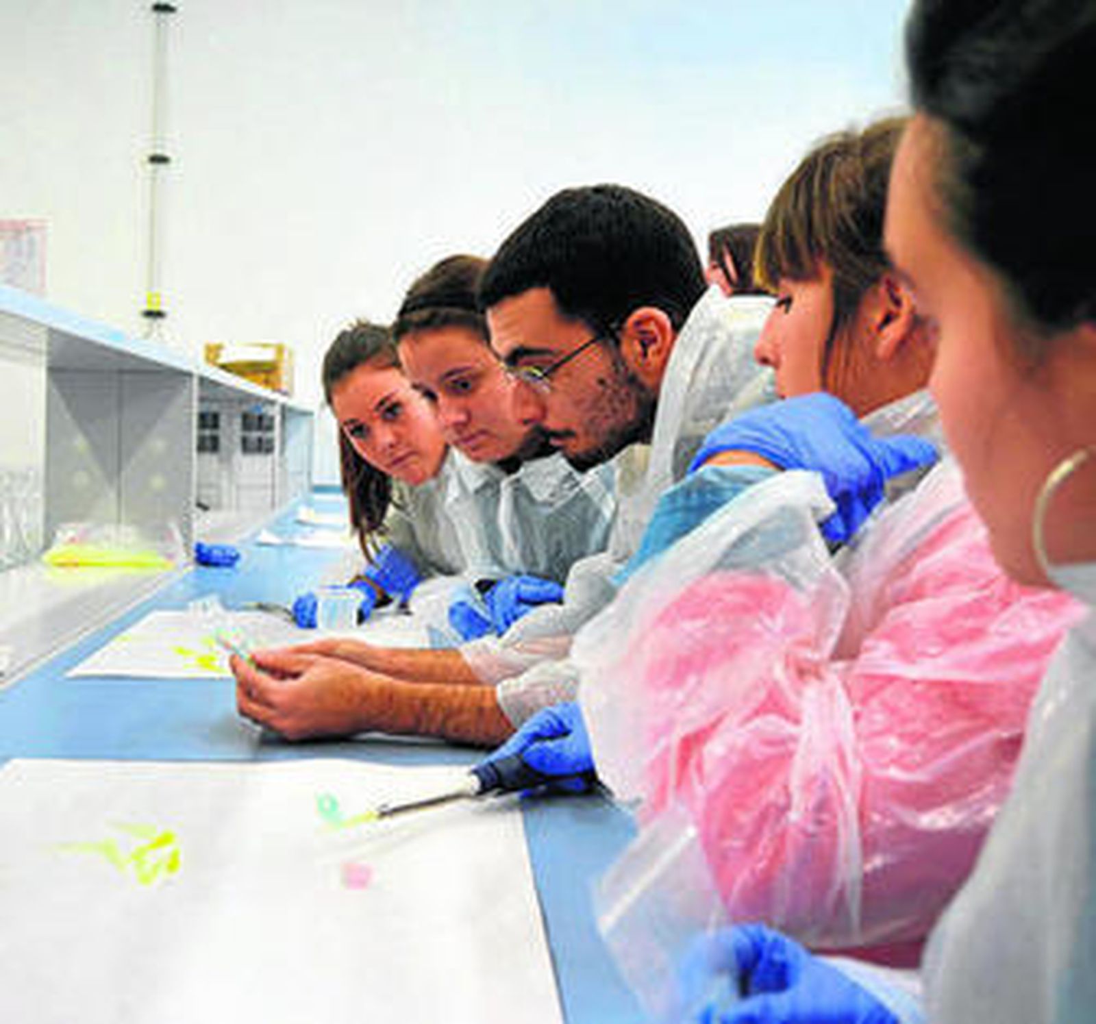 Algunos de los estudiantes que participaban ayer en este proyecto.