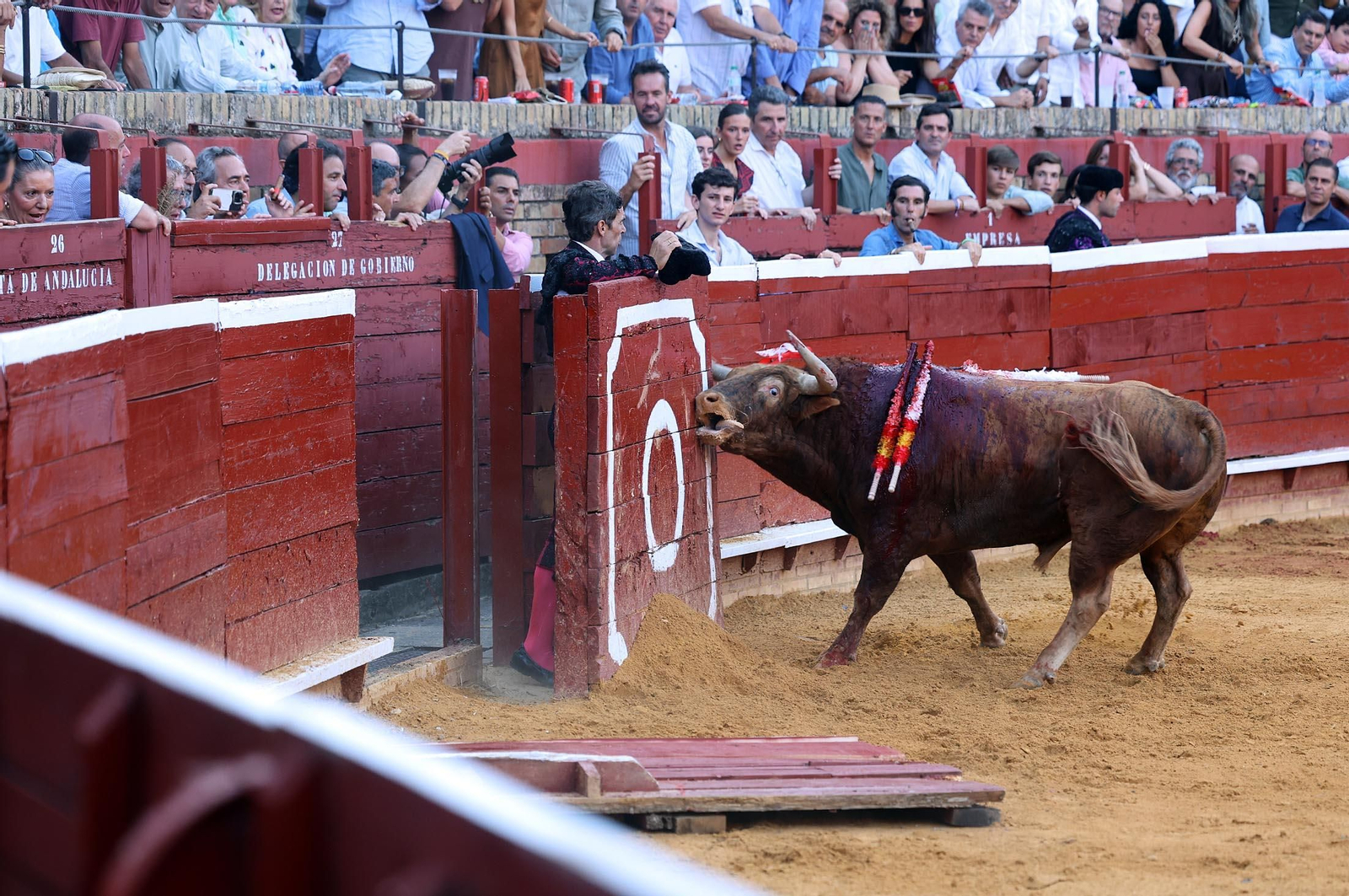 Toros La Merced 2025: Imágenes de la corrida de David de Miranda, Marco Pérez y Borja Jiménez