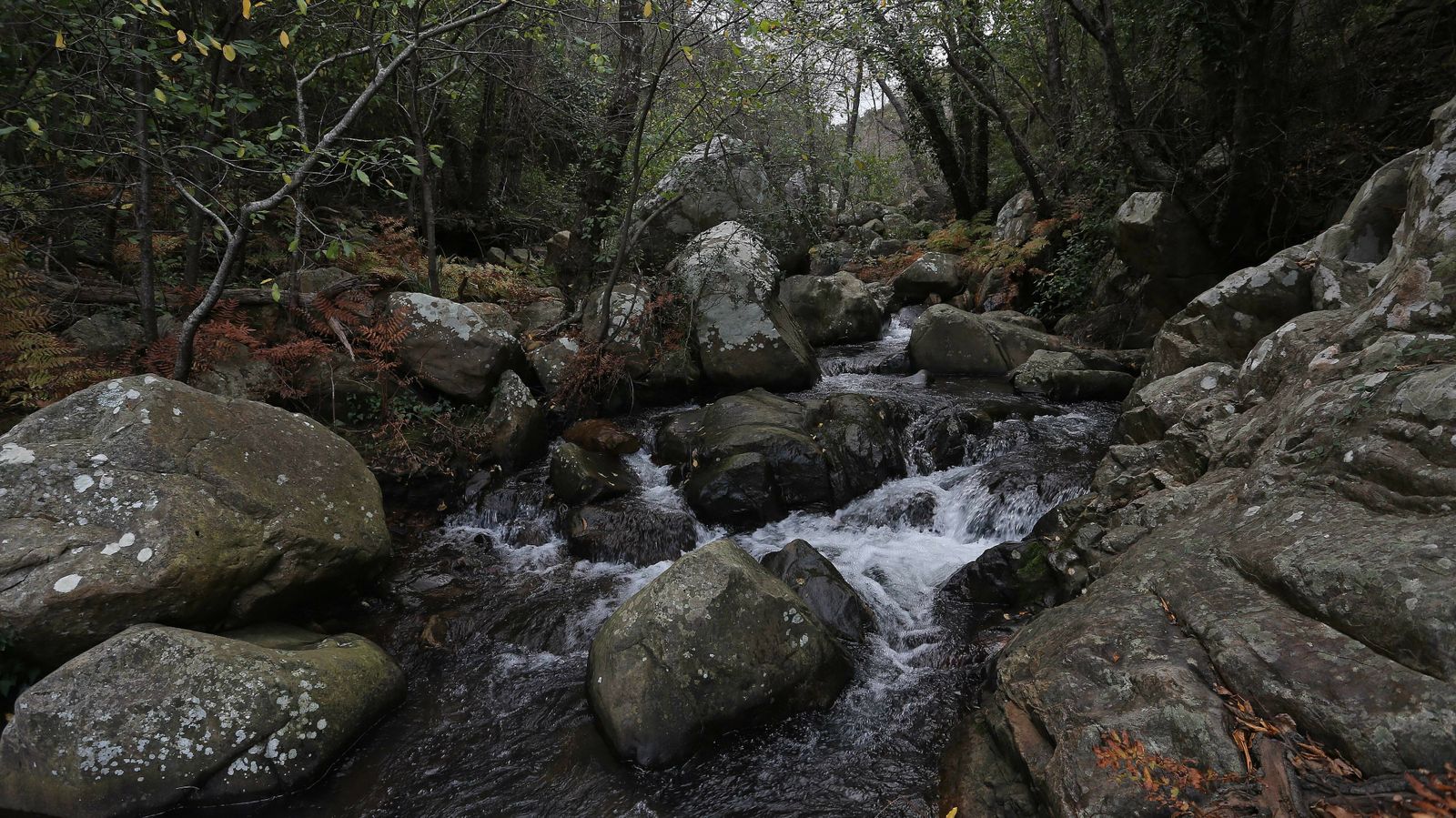 Las mejores fotos del sendero del Río de la Miel