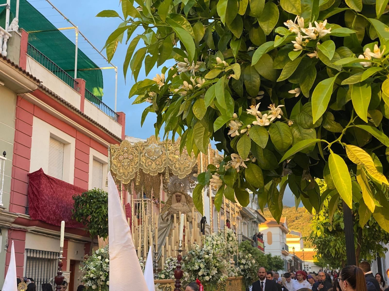 La procesión de la Hermandad de la Sentencia y Paz