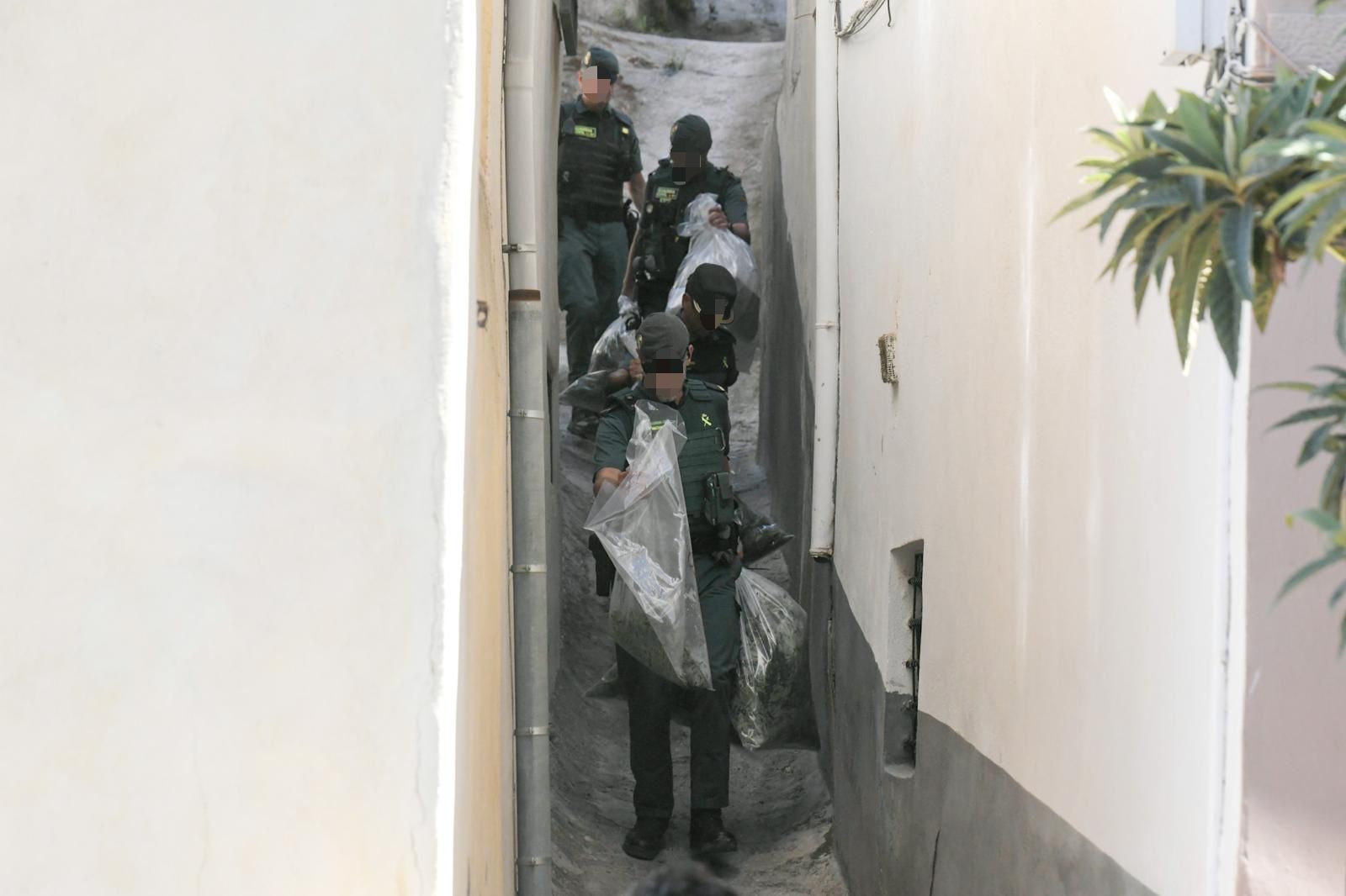 Fotos: así ha sido la operación contra el tráfico de marihuana en Pinos Puente