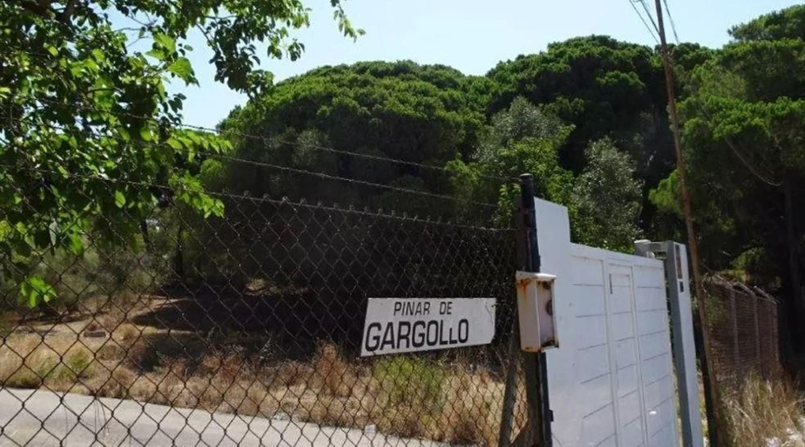 Una imagen del pinar de Gargollo, donde se pretendía construir el complejo turístico.