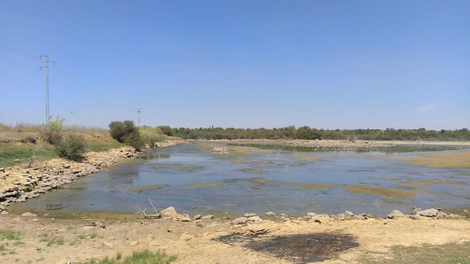 La Laguna de la Mejorada se seca