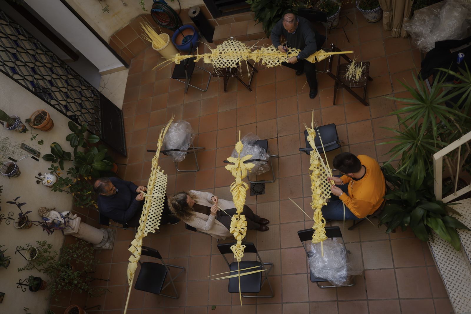 La elaboración de palmas rizadas en la Divina Pastora, todas las imágenes