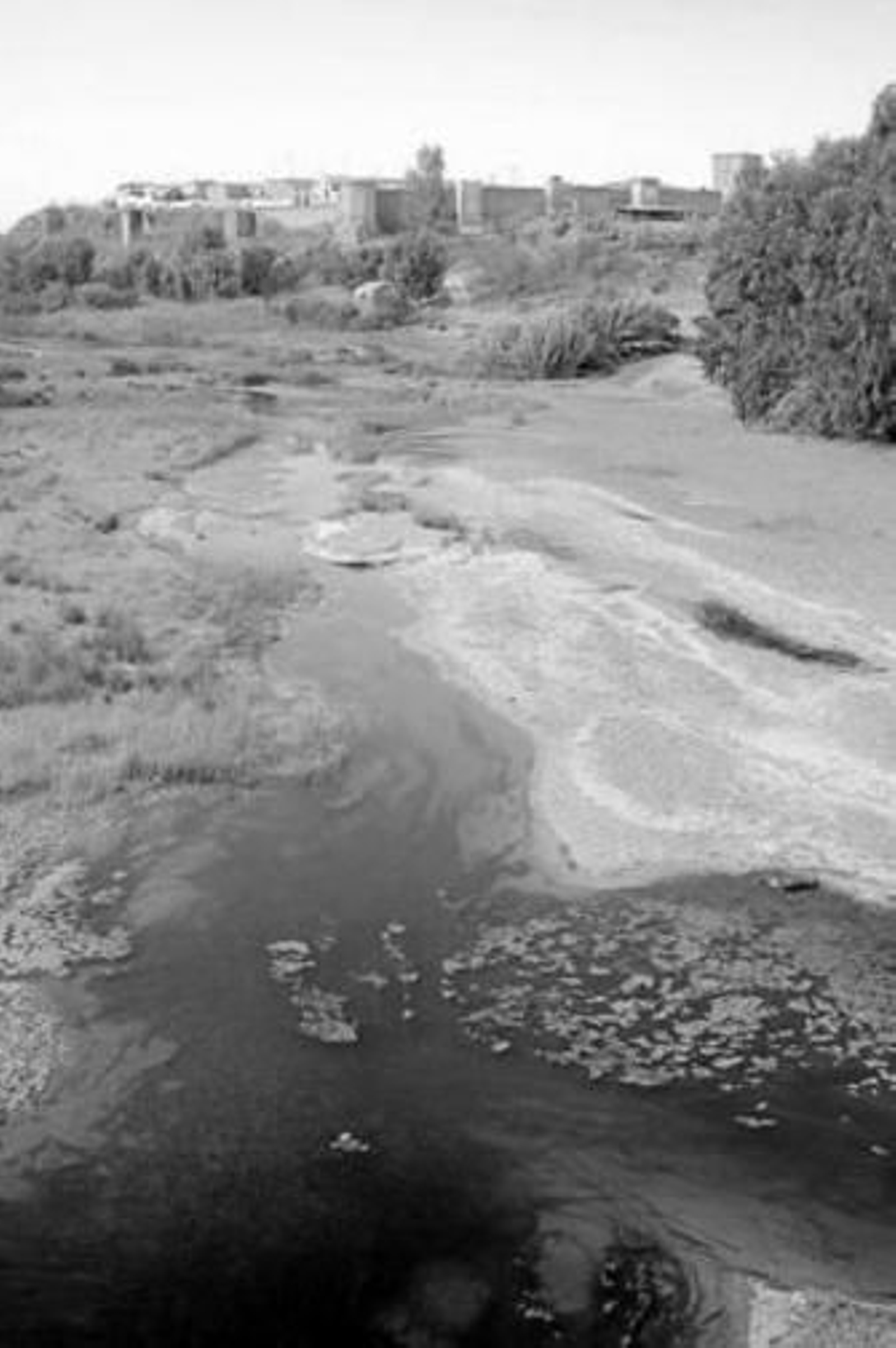El río Tinto, a su paso por el término de Niebla.