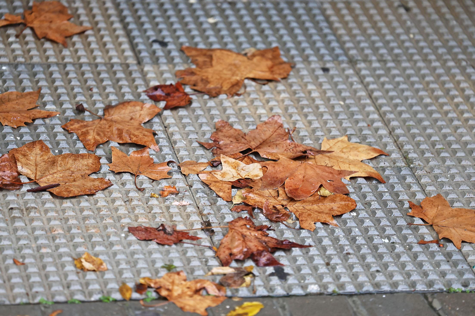 Las imágenes más destacadas del lunes 25 de noviembre en Huelva