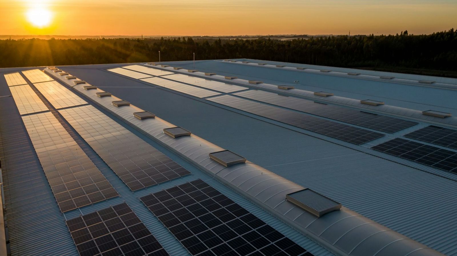 Fernando Romero Martínez: la trayectoria del fundador y expresidente de EiDF en el sector energético