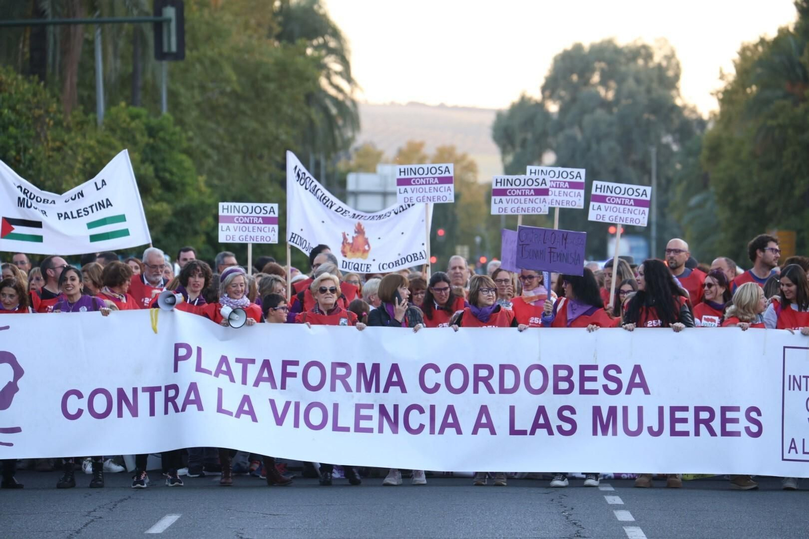 La manifestación del 25N en Córdoba, en imágenes