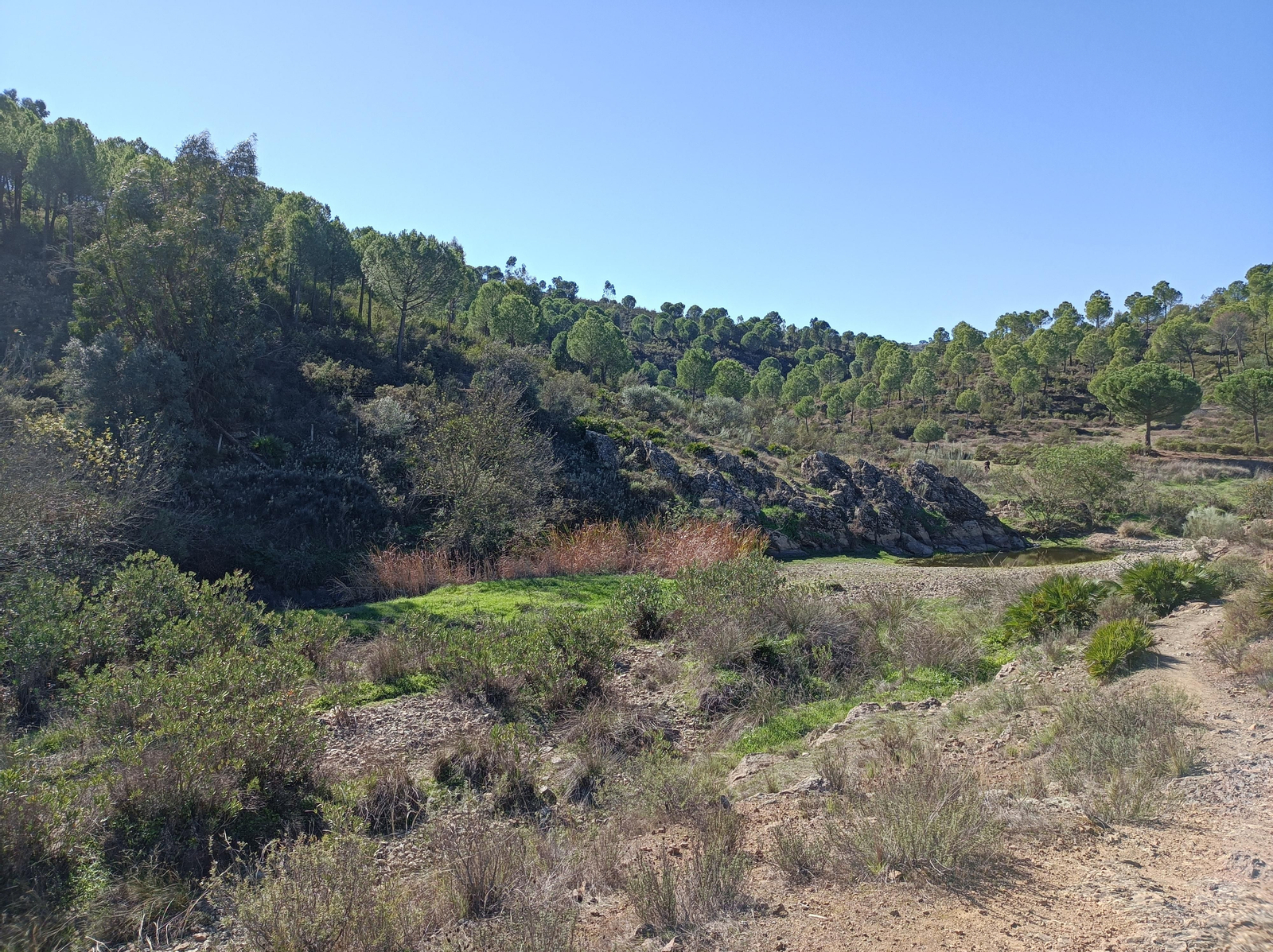 Ruta de Las Cañadillas