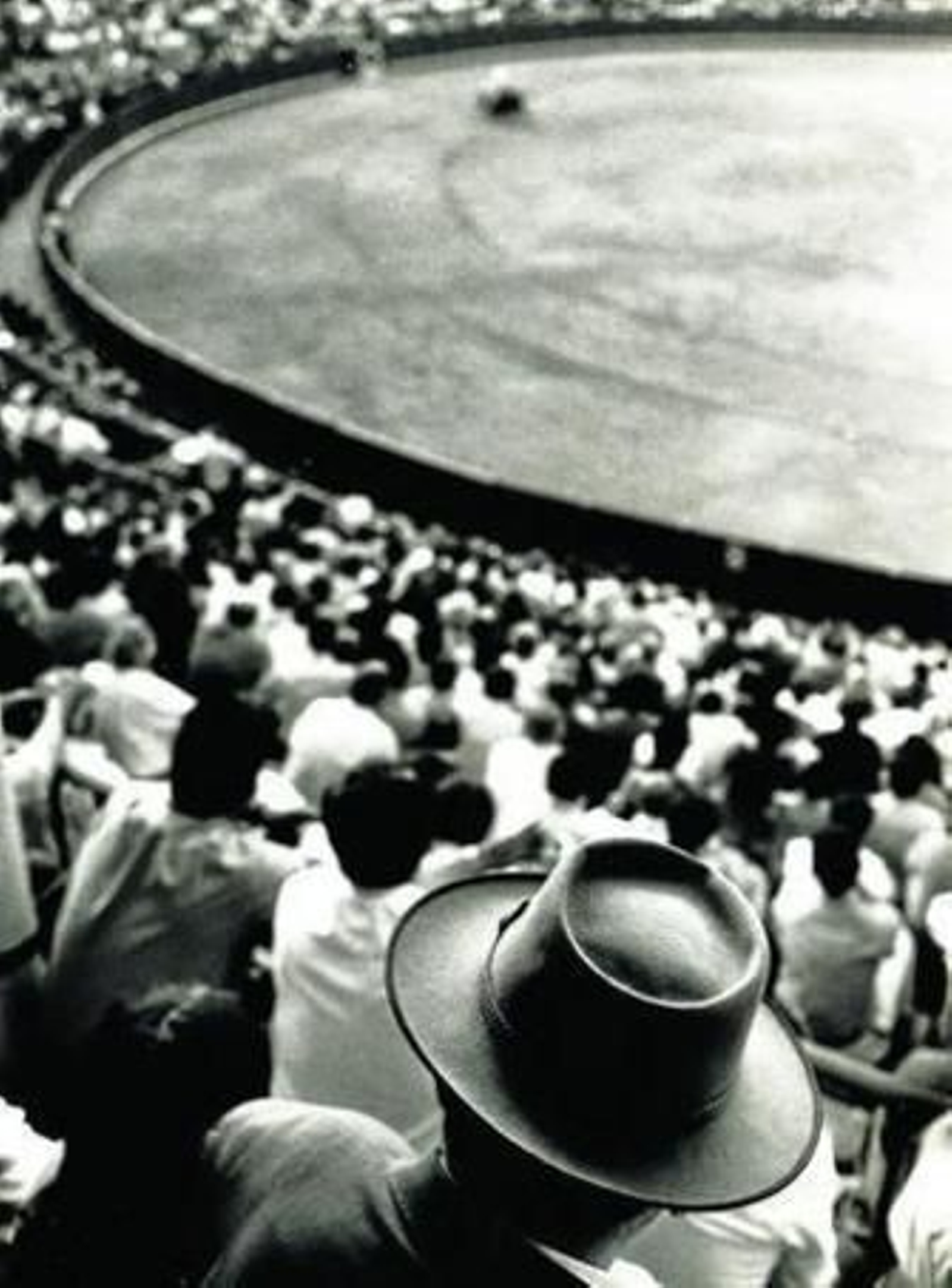 Una manera única de ver y de mirar