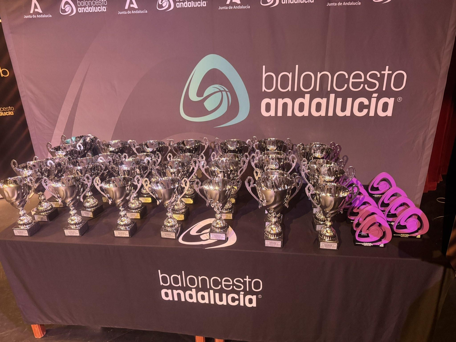 En imágenes: reconocimiento al baloncesto provincial en la Gala FAB Jaén 2025