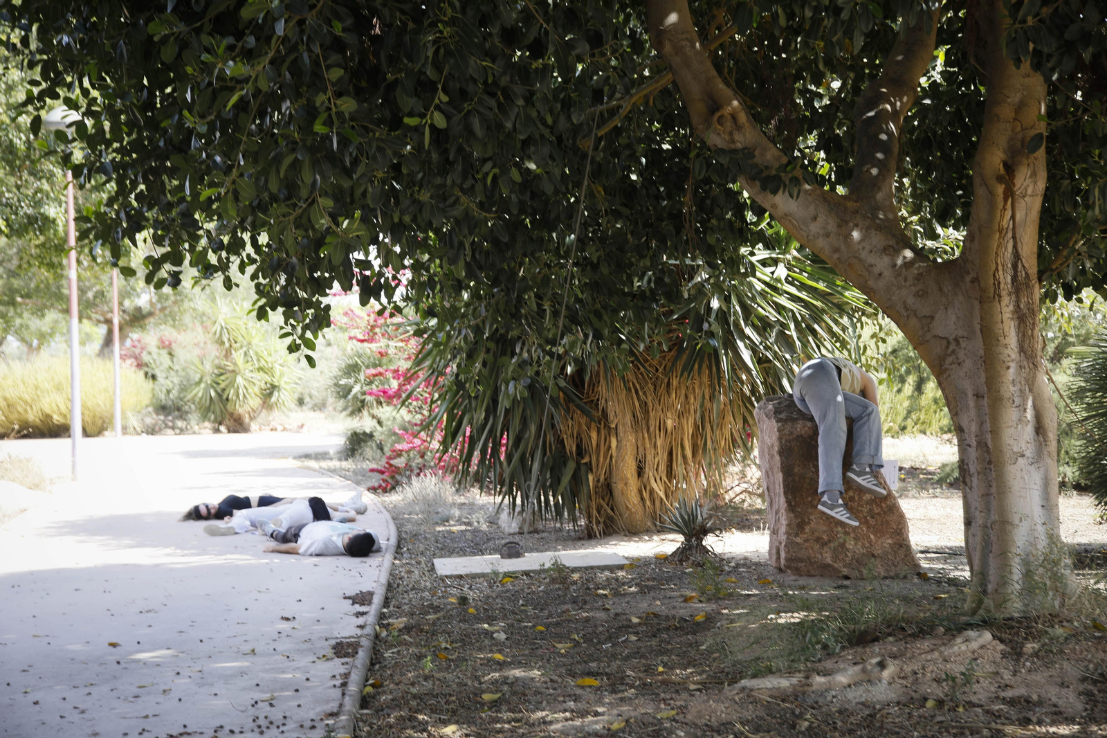 Las mejores imágenes del simulacro emergencias 061