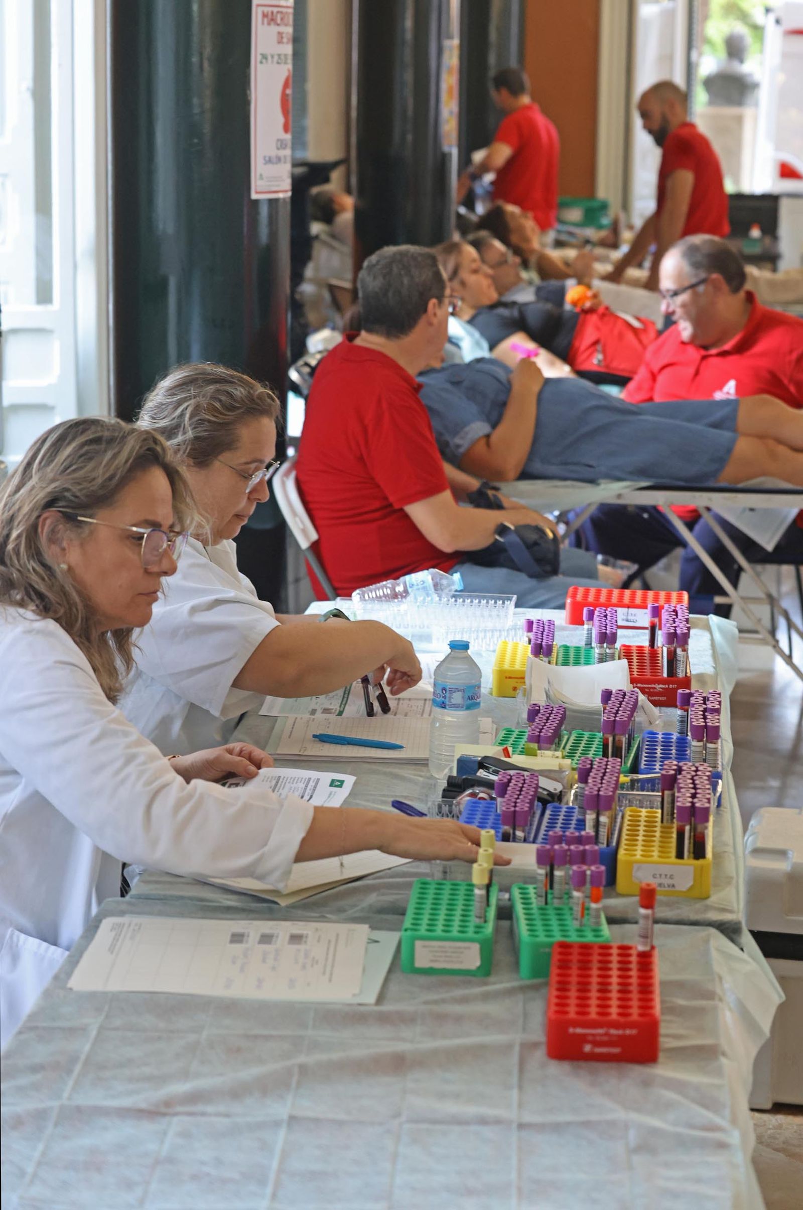 Imágenes de la macrocolecta de sangre y plasma en la Casa Colón