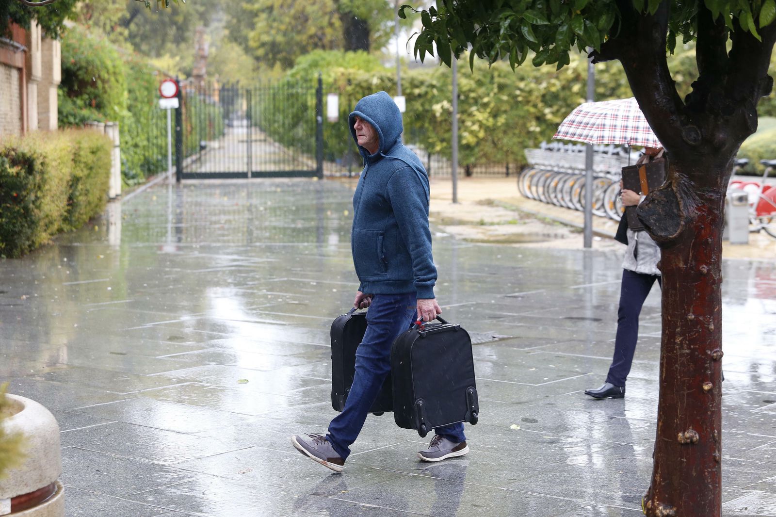 Las imágenes del temporal en Sevilla