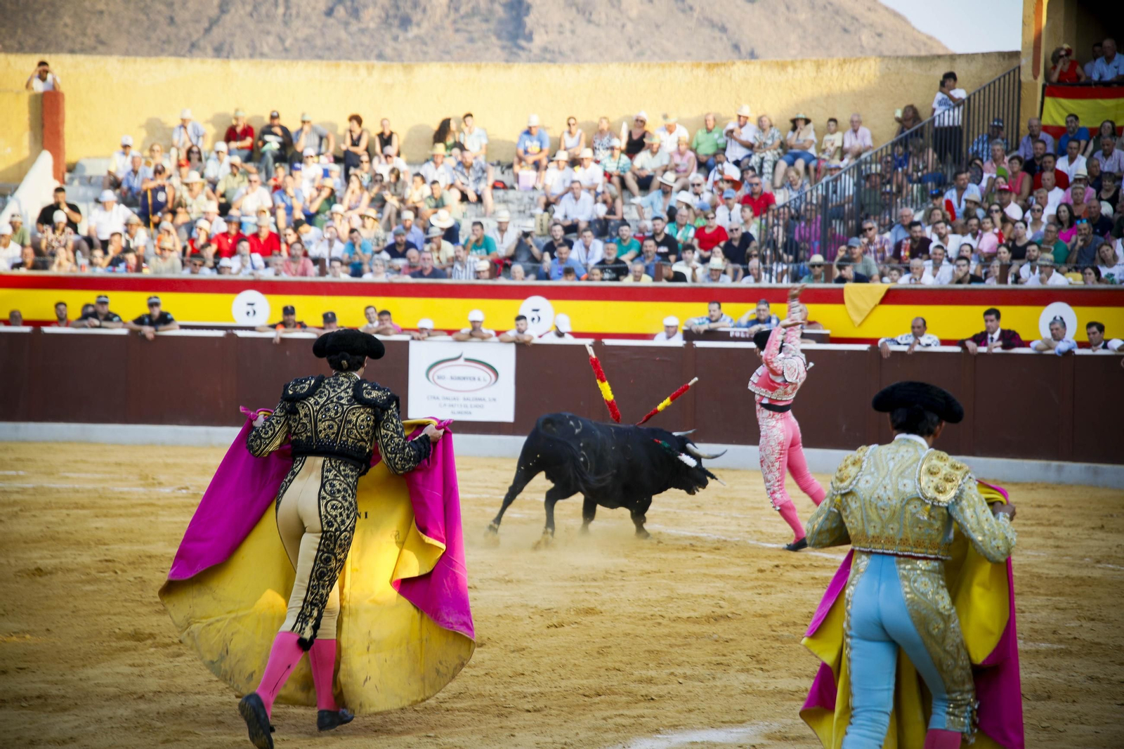 Corrida de toros Berja con un toro indultado, en imágenes