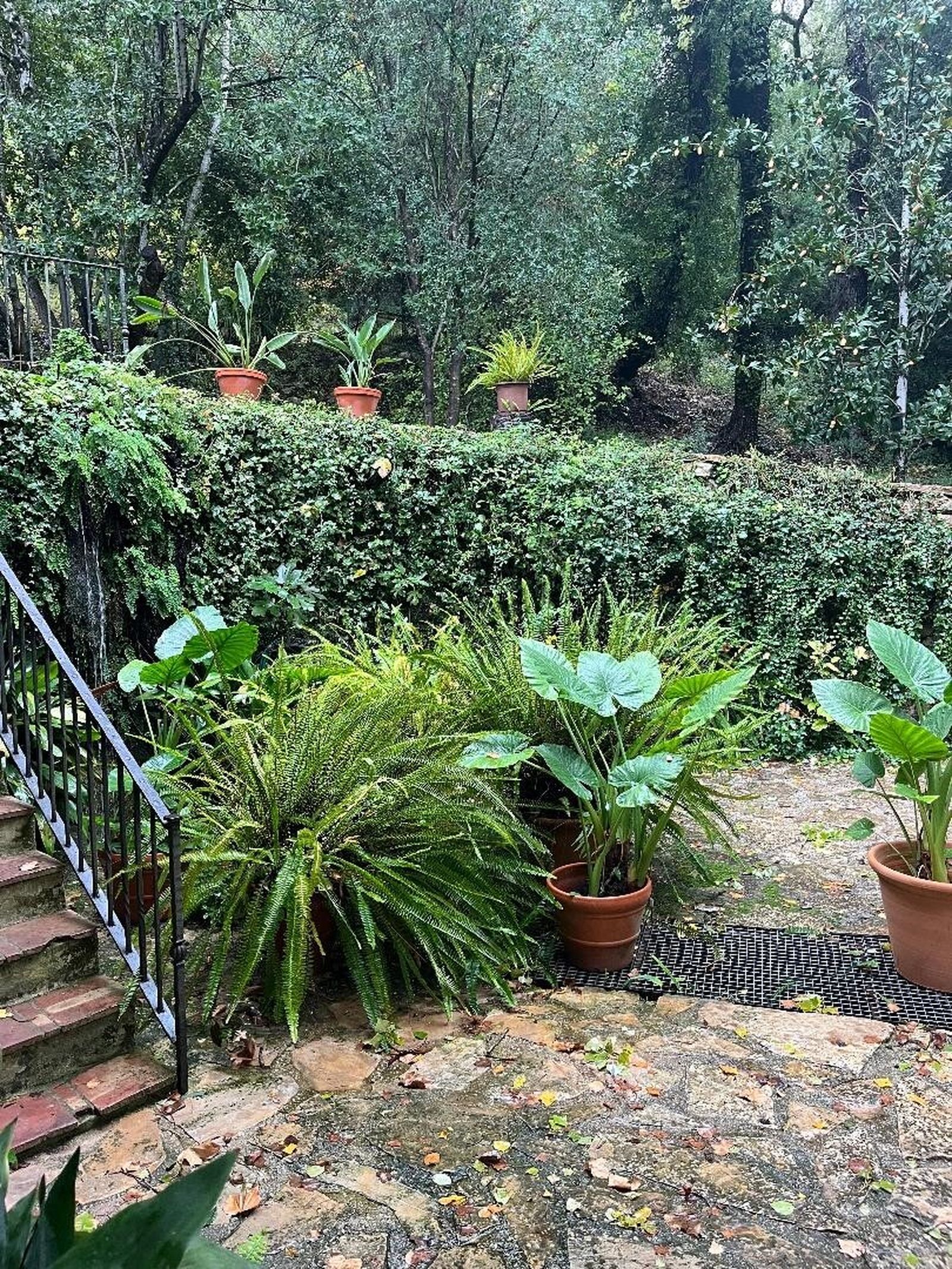 Las imágenes de la casa Batán de Lara en Benamahoma
