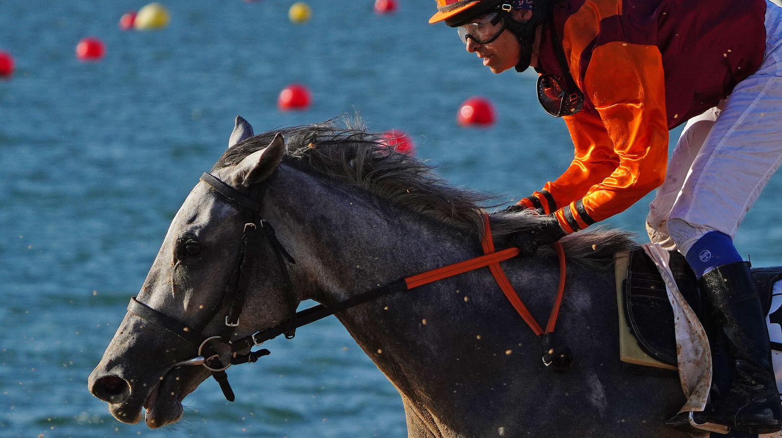 Imágenes del último día de las Carreras de Caballos de Sanlúcar 2022
