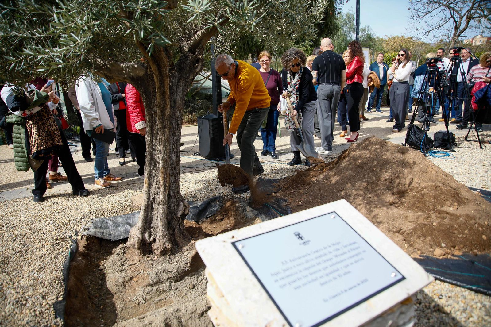 Las imágenes de la plantación de un olivo y el entierro de una cápsula del tiempo