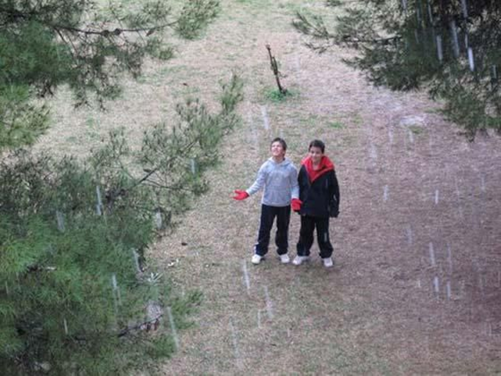 Mairena del Aljarafe.