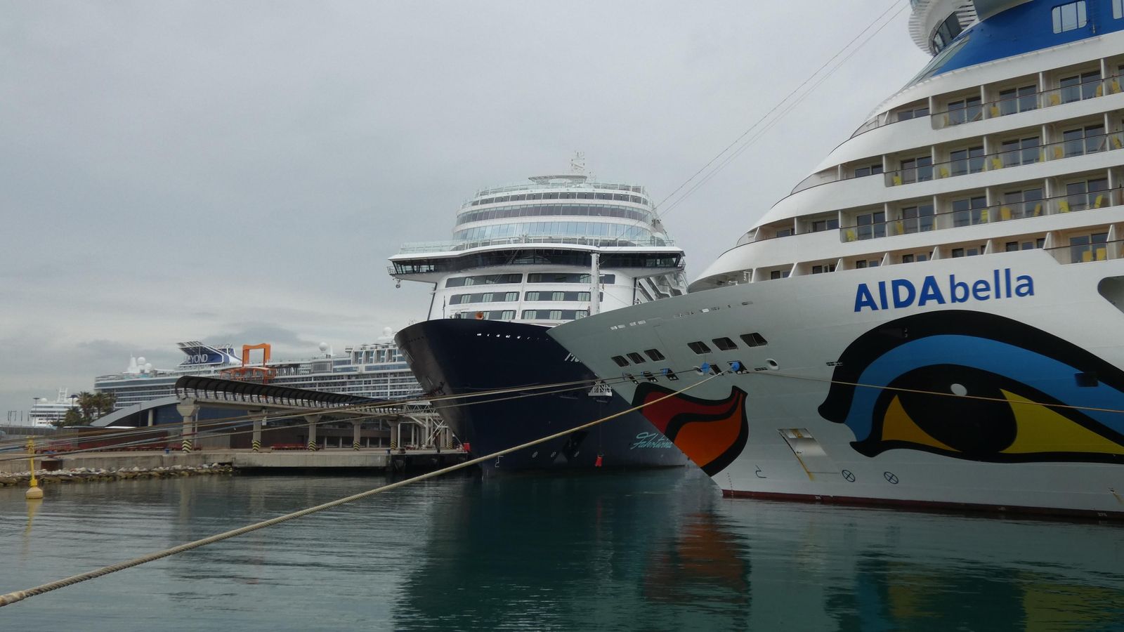 El 'AIDAbella' y el 'Mein Schiff 1' en los muelles de la estación marítima de levante. Al fondo el 'Celebrity Beyond' y el 'Norwegian Gem'.