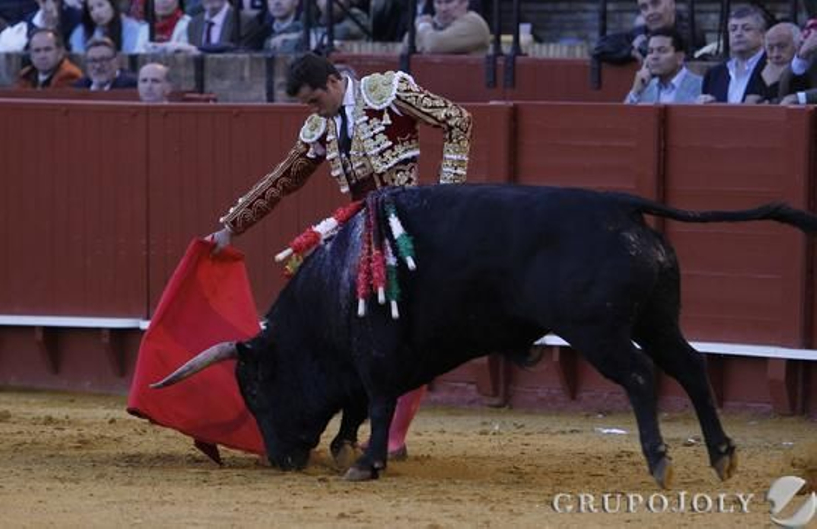 Daniel Luque. / Antonio Pizarro