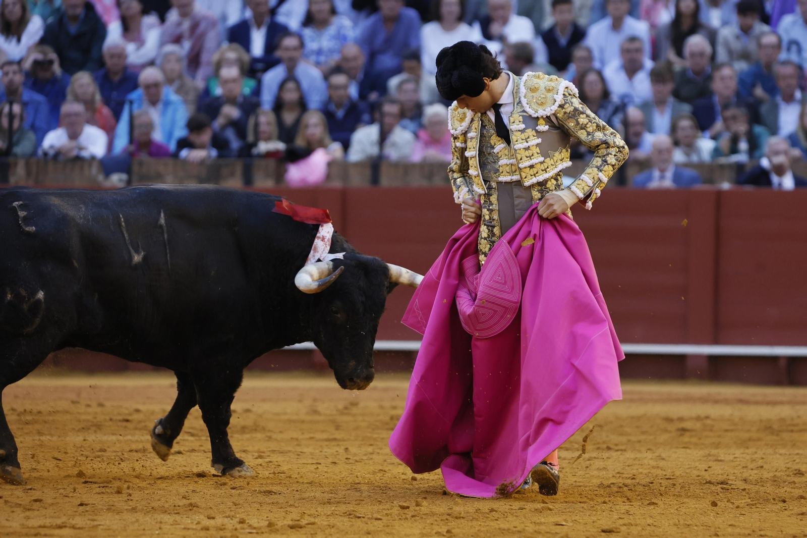 Las imágenes del festejo