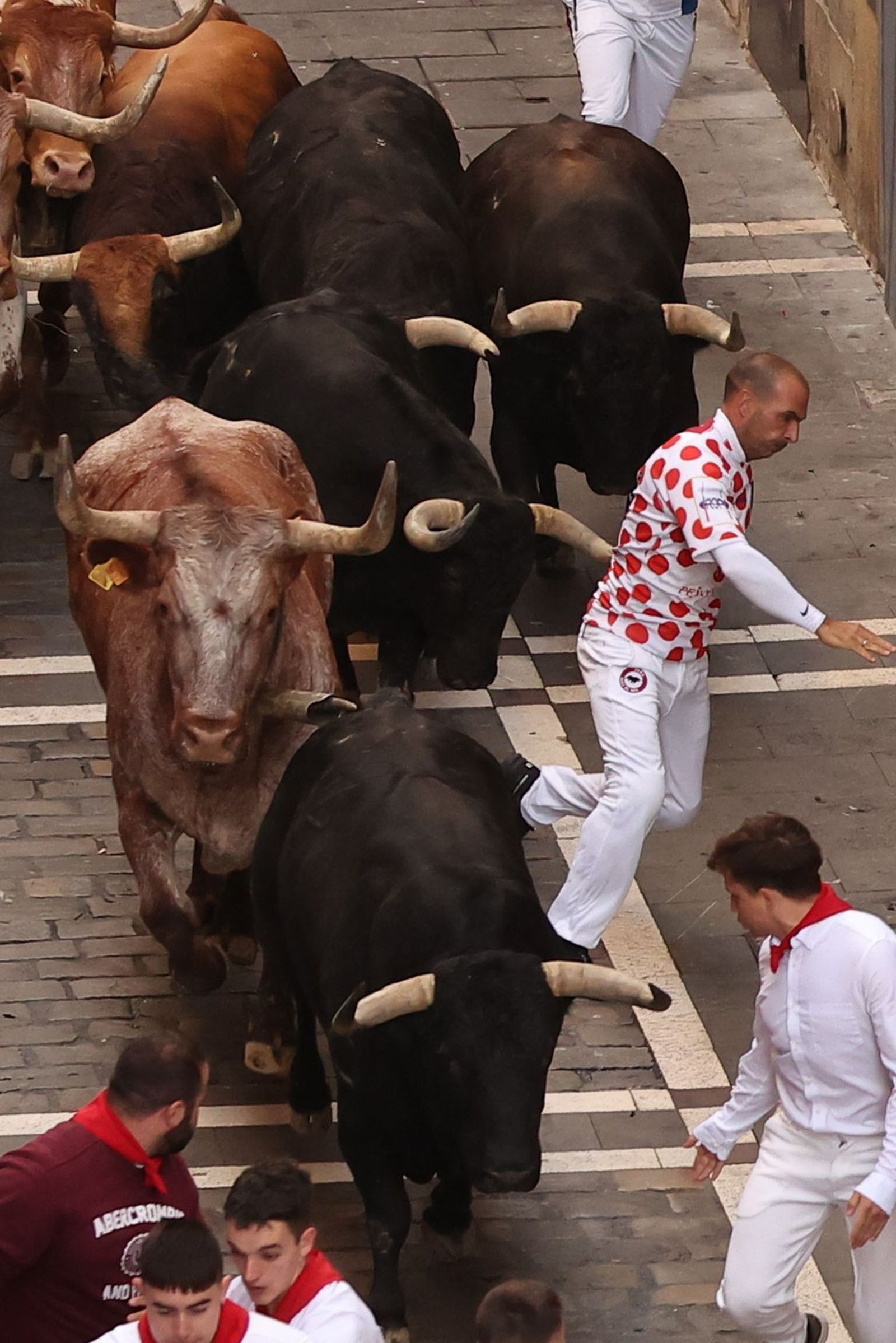 Las imágenes de los toros de Jandilla en los sanfermines