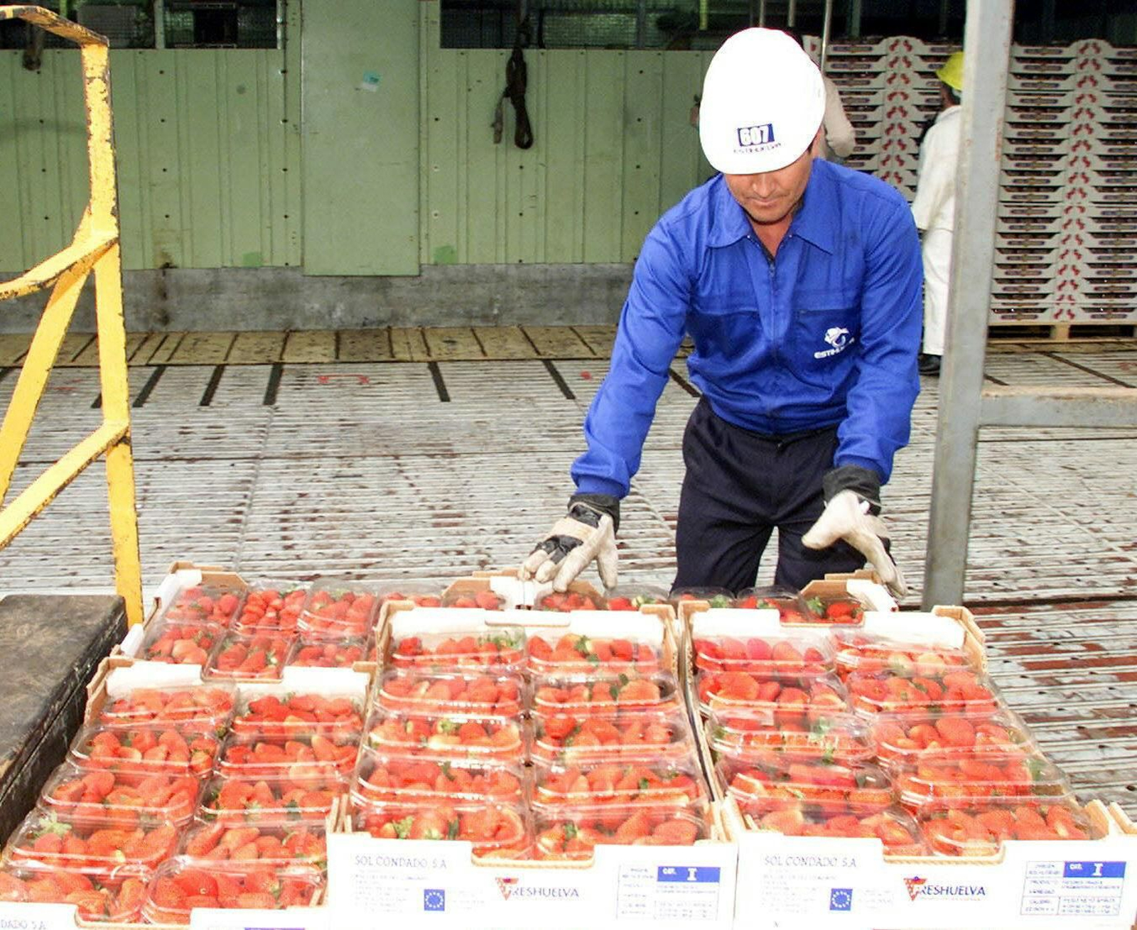 La agricultura es uno de los sectores con mayor cantidad de trabajo autónomo por detrás del comercio.