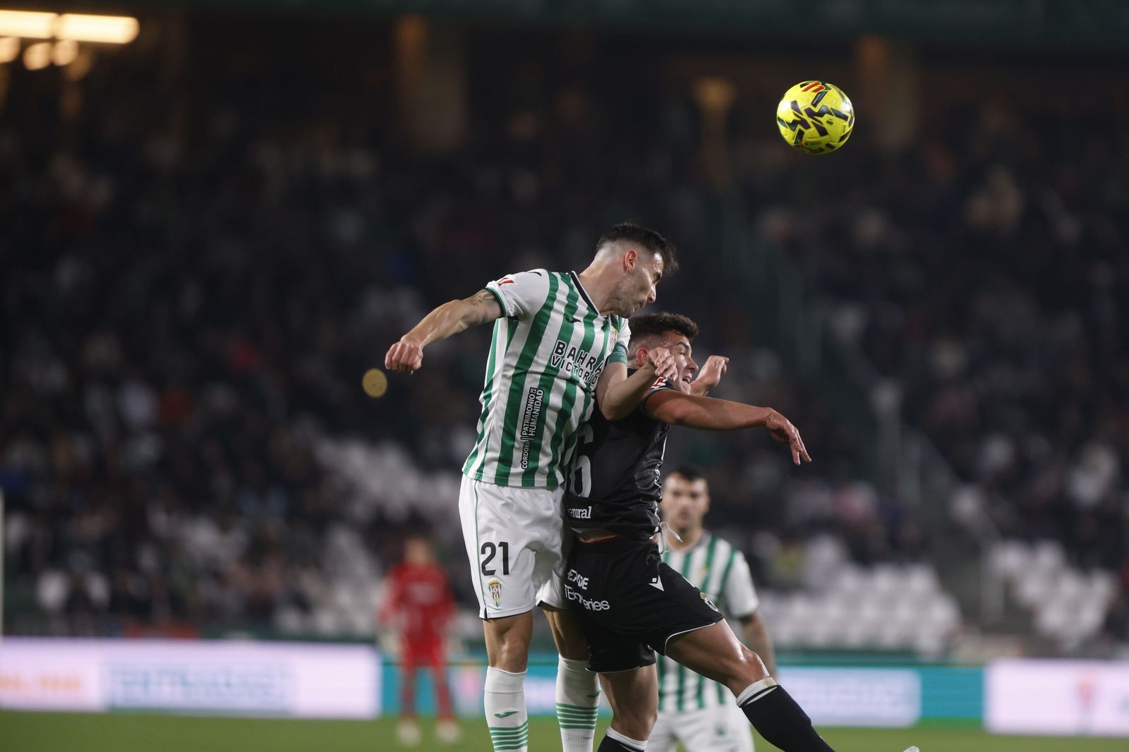 Las mejores fotos del ambiente en El Arcángel para el Córdoba CF - Burgos