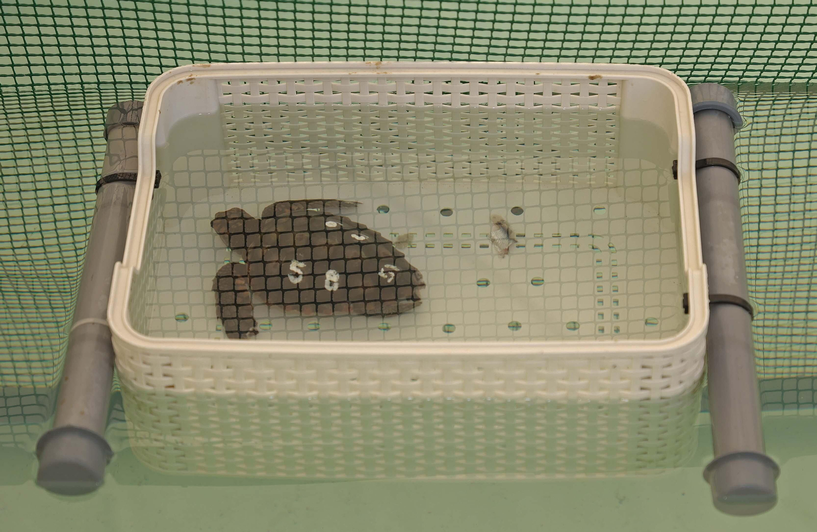 La visita de Ramón Fernández Pacheco al Cegma de Algeciras, en imágenes