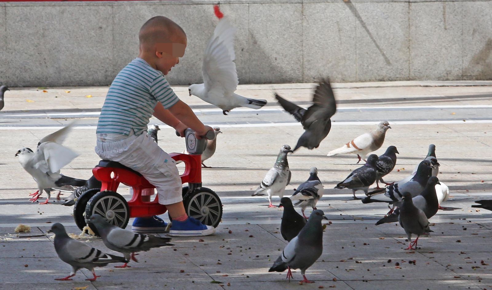 Coronavirus Jerez, imágenes del Martes 5 de Mayo en Jerez