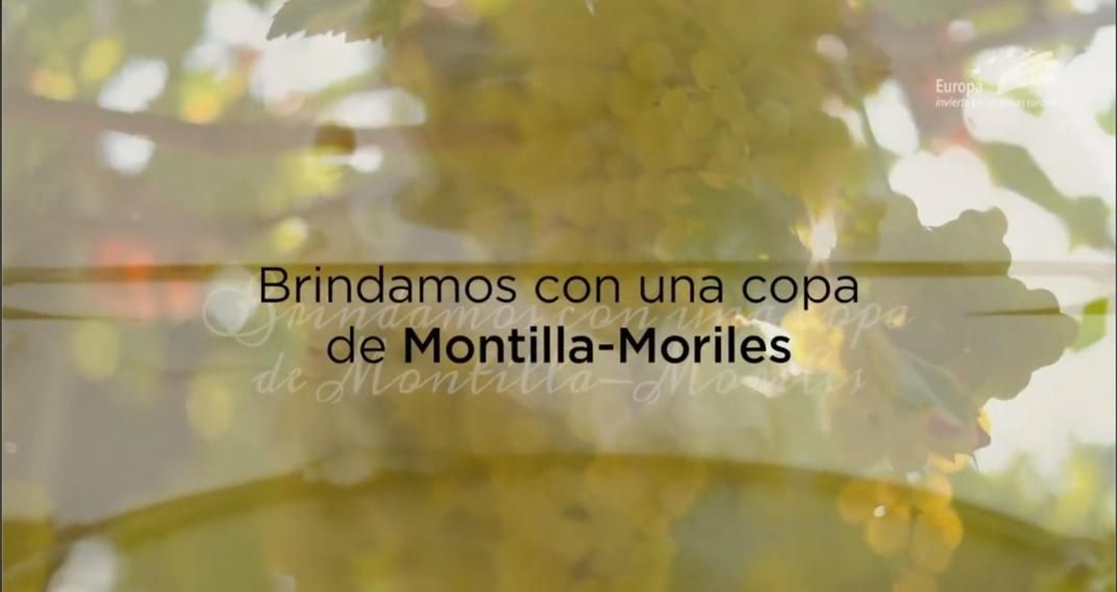 Imagen promocional del vídeo con el que la DO Montilla-Moriles ha inaugurado la cata.