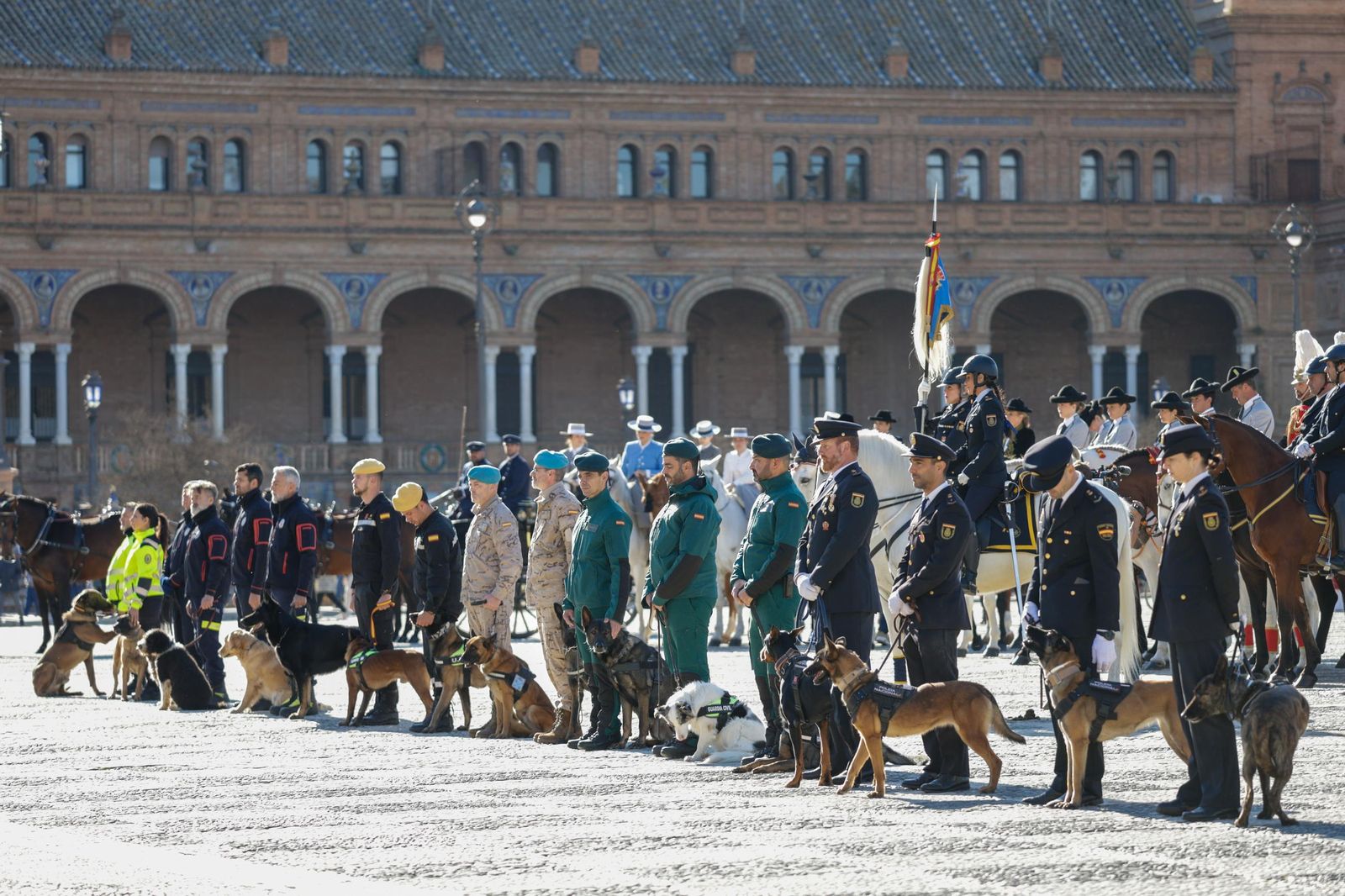 Las imágenes de la celebración del día de San Antón por la Policía Nacional en la plaza de España