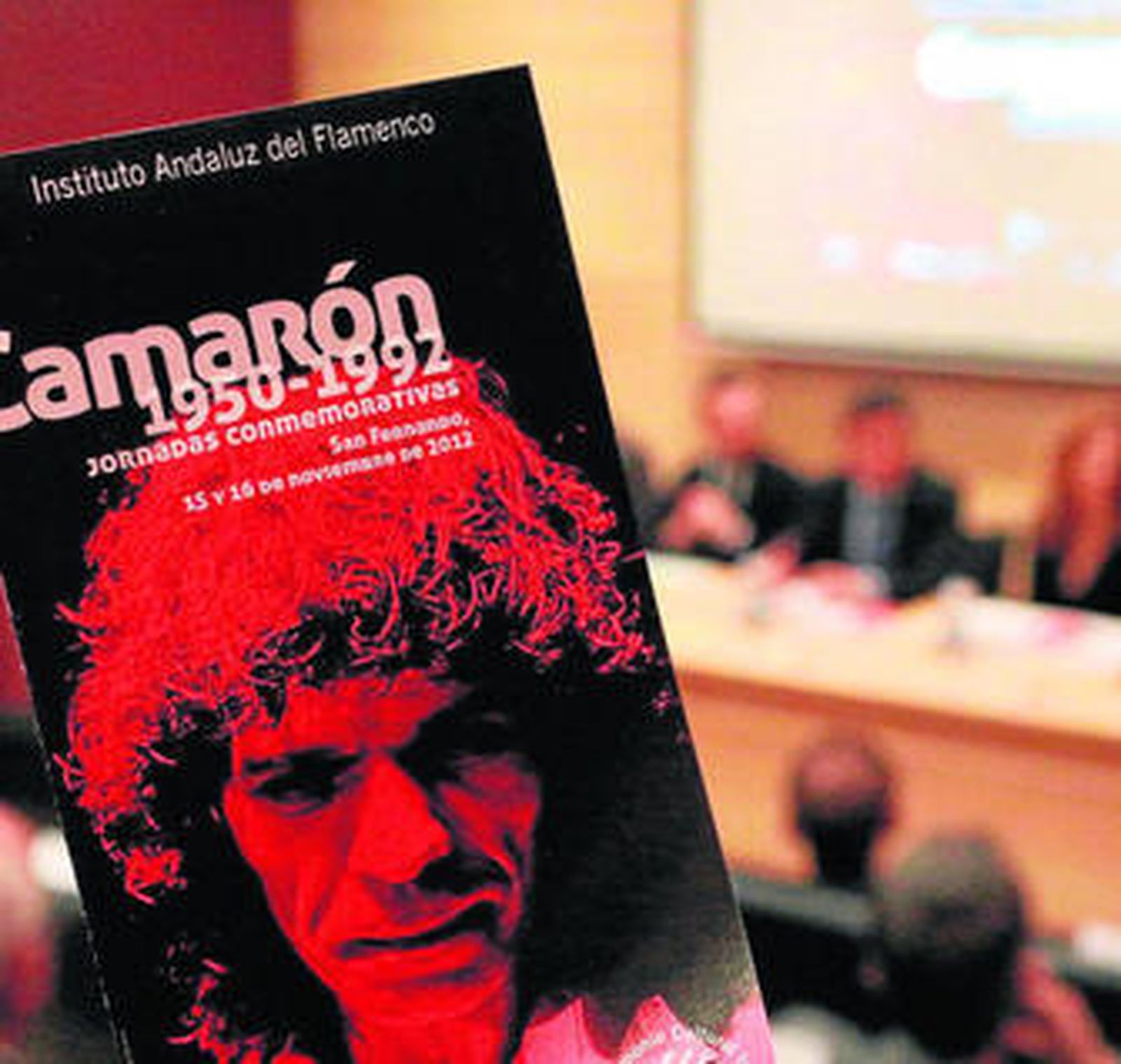 Un momento de la inauguración de las jornadas conmemorativas, ayer, en San Fernando.